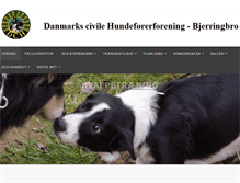 Tablet Screenshot of dch-bjerringbro.dk